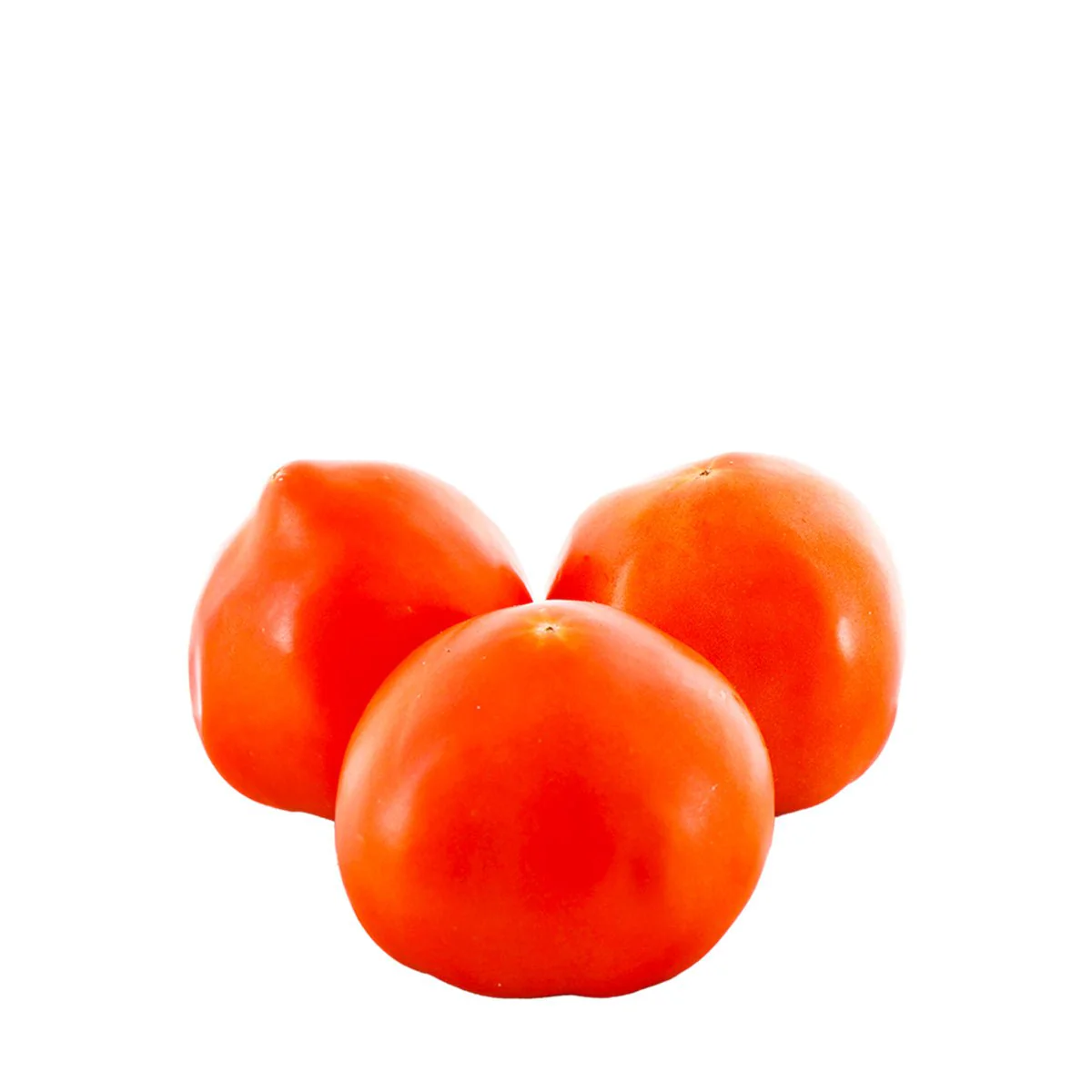 5X6 Tomato 1.5lb