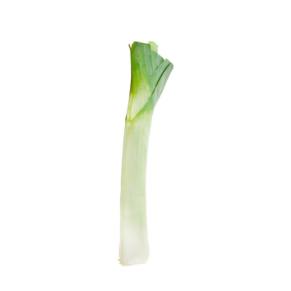 American Leeks 1 bunch