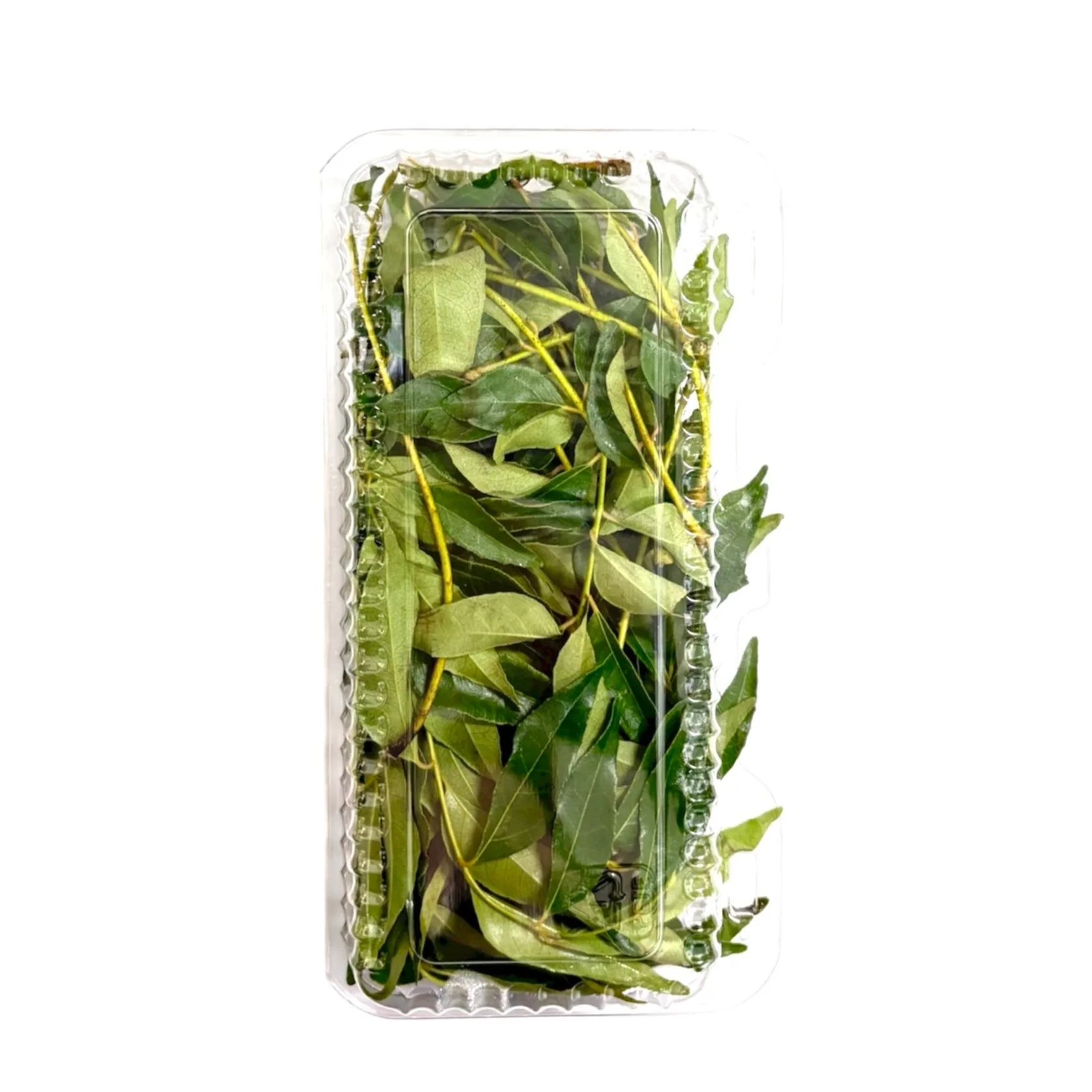 Curry Leaves