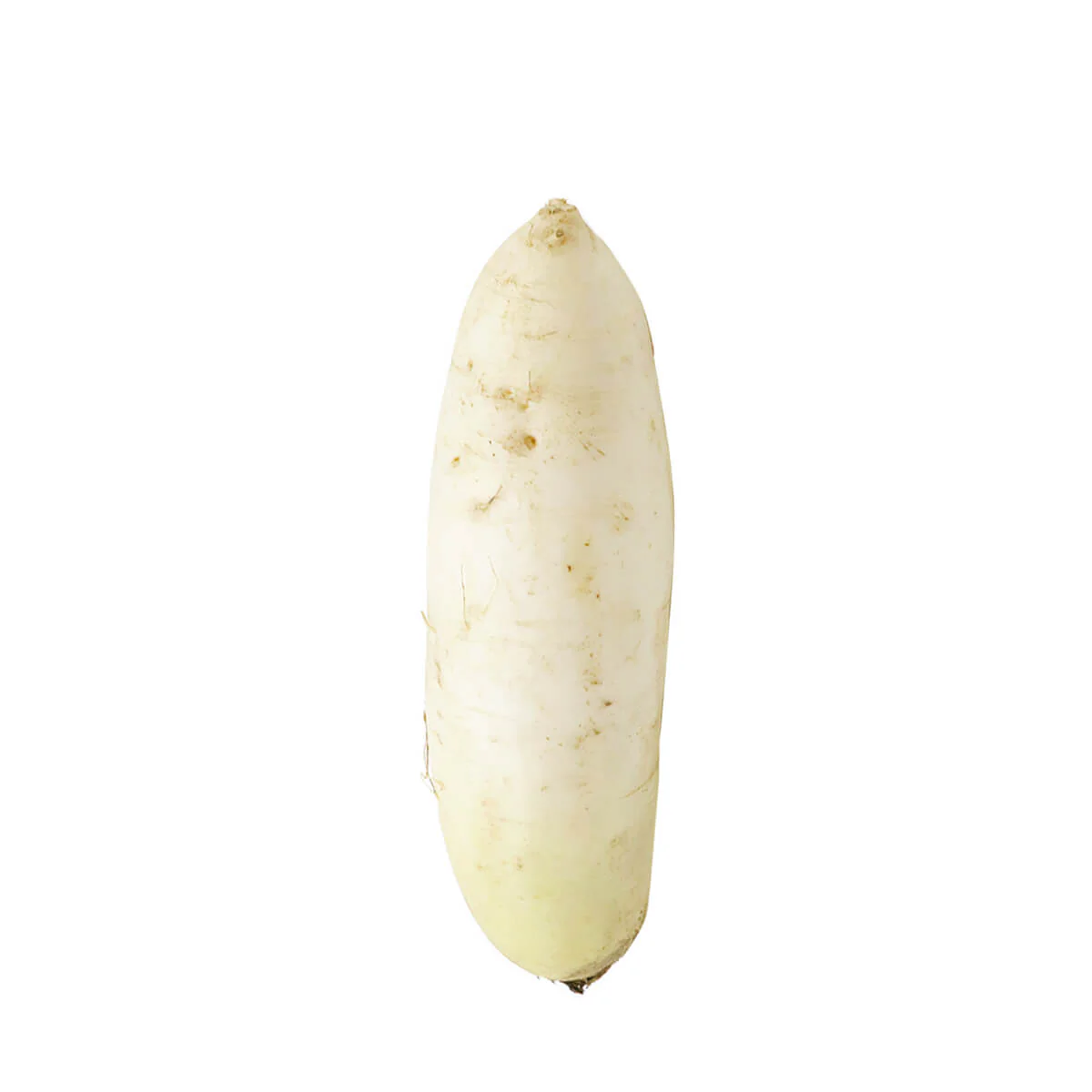 Daikon Radish 2.5lb