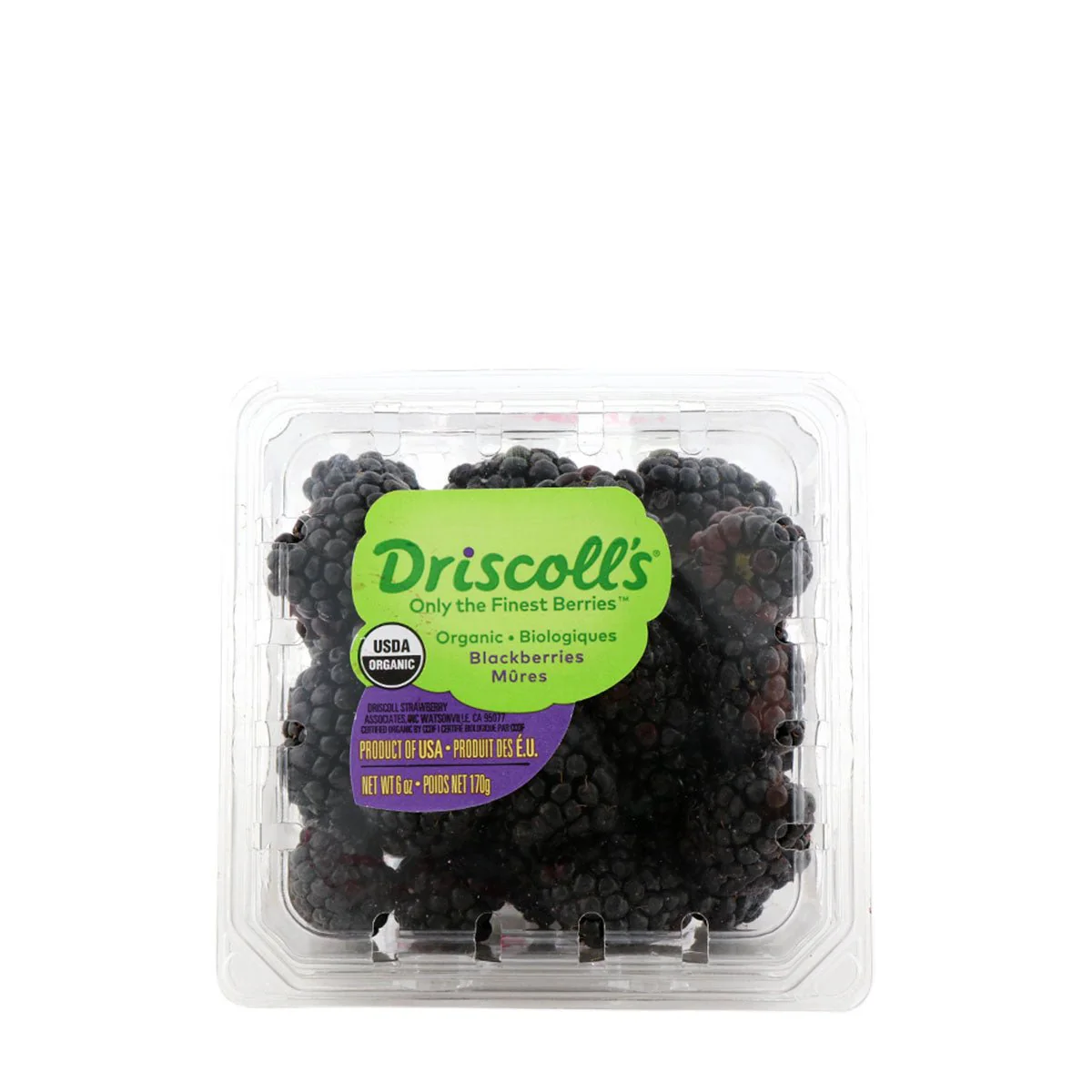 Driscolls Organic Blackberry 6oz