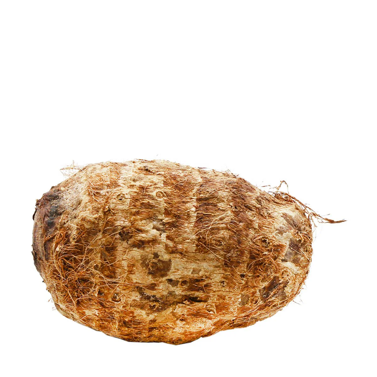 Eddo (Taro) 1lb