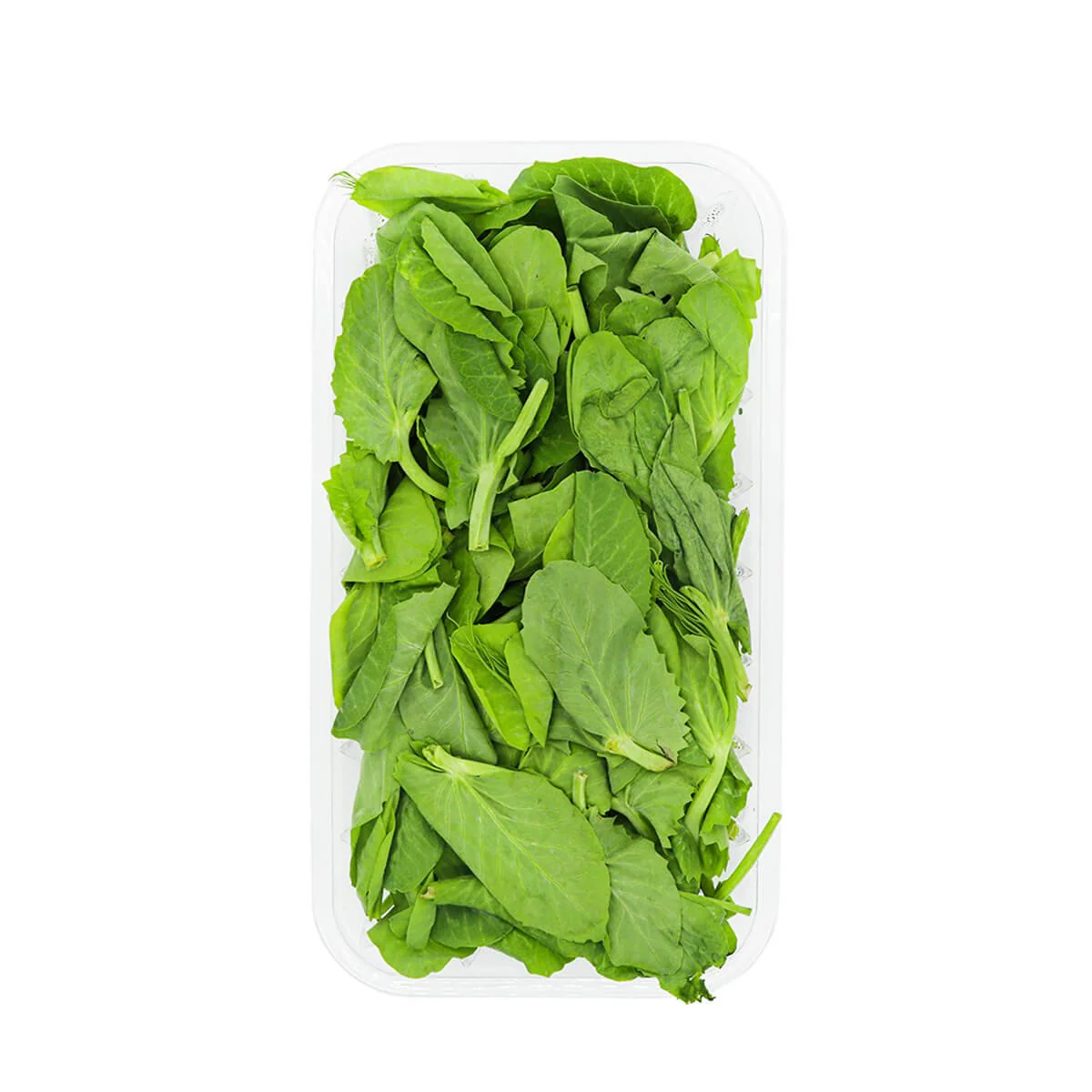 Bean Leaf 0.34lb