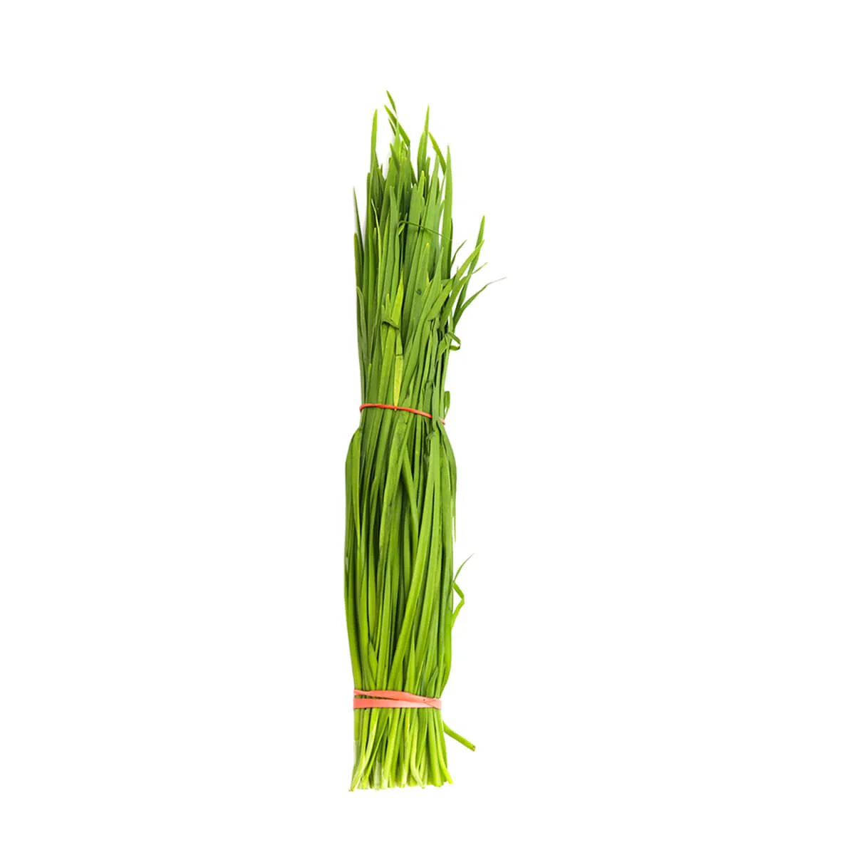 Chives 1lb