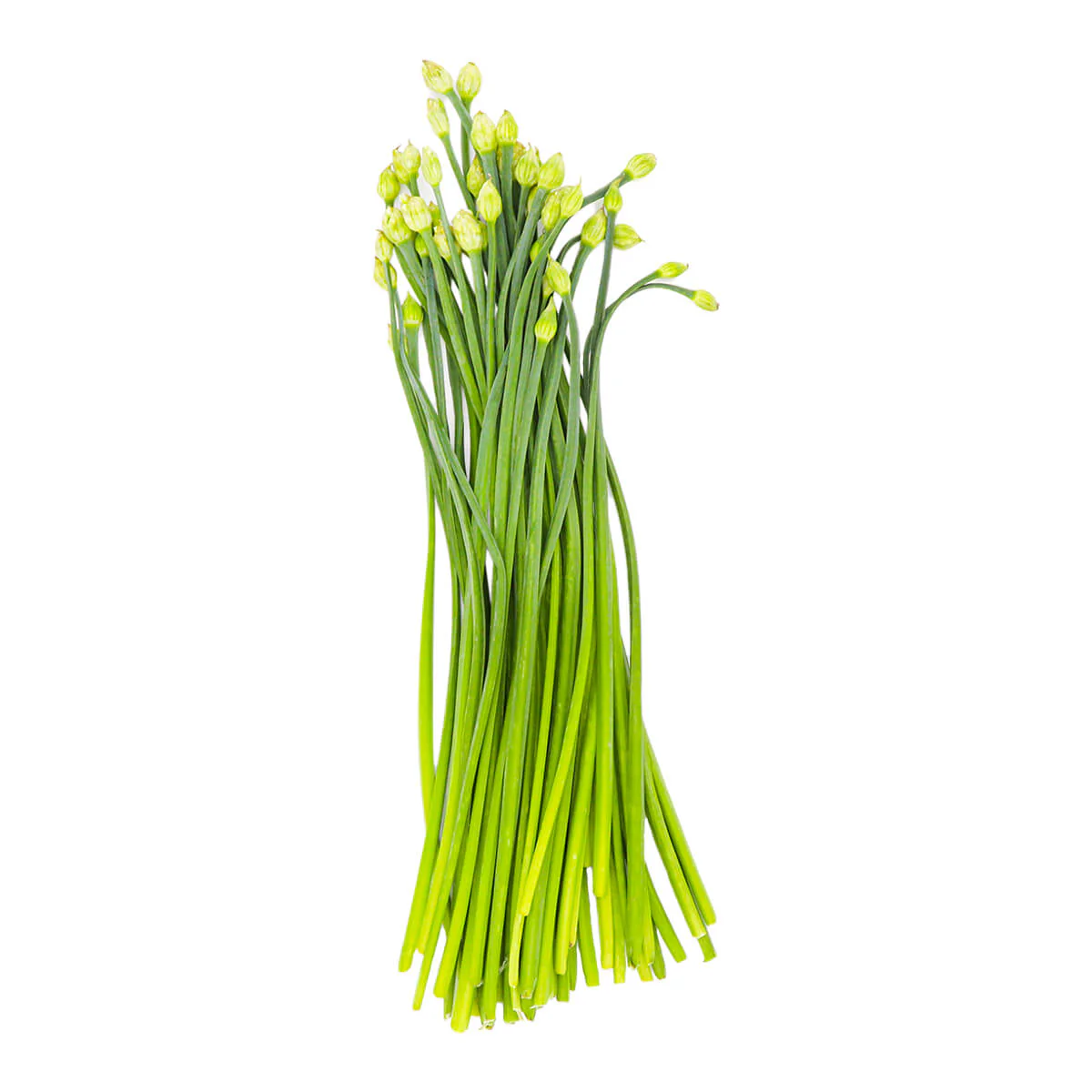 Chive Flower 0.50 lb