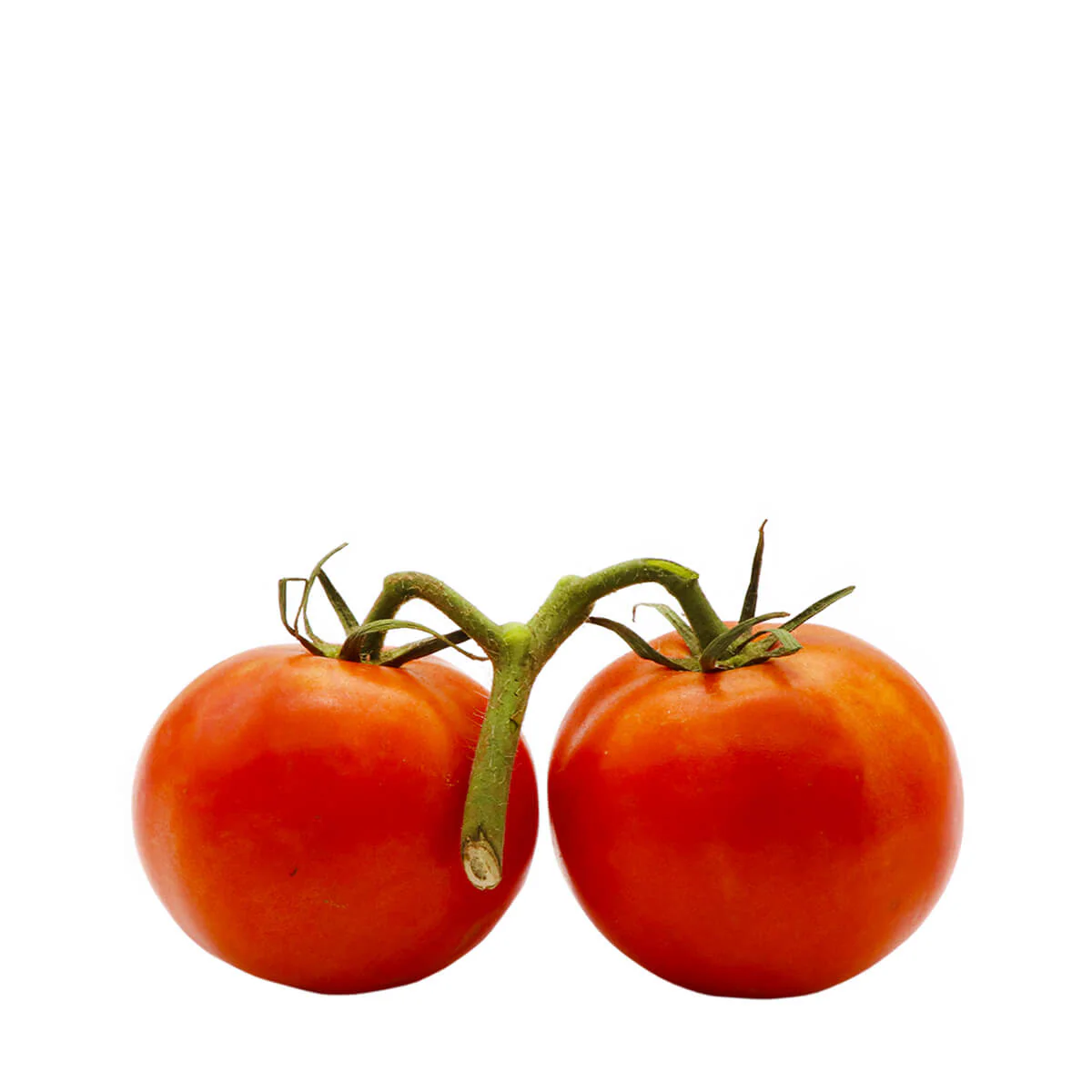 Stem Tomatoes 1.1lb