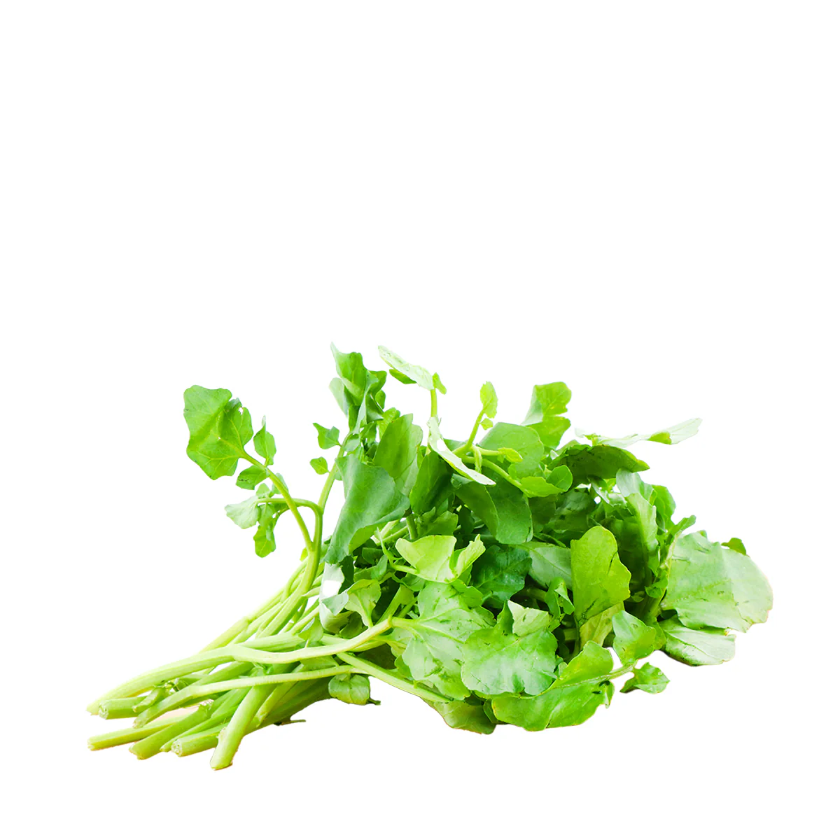 Watercress 1 Bunch