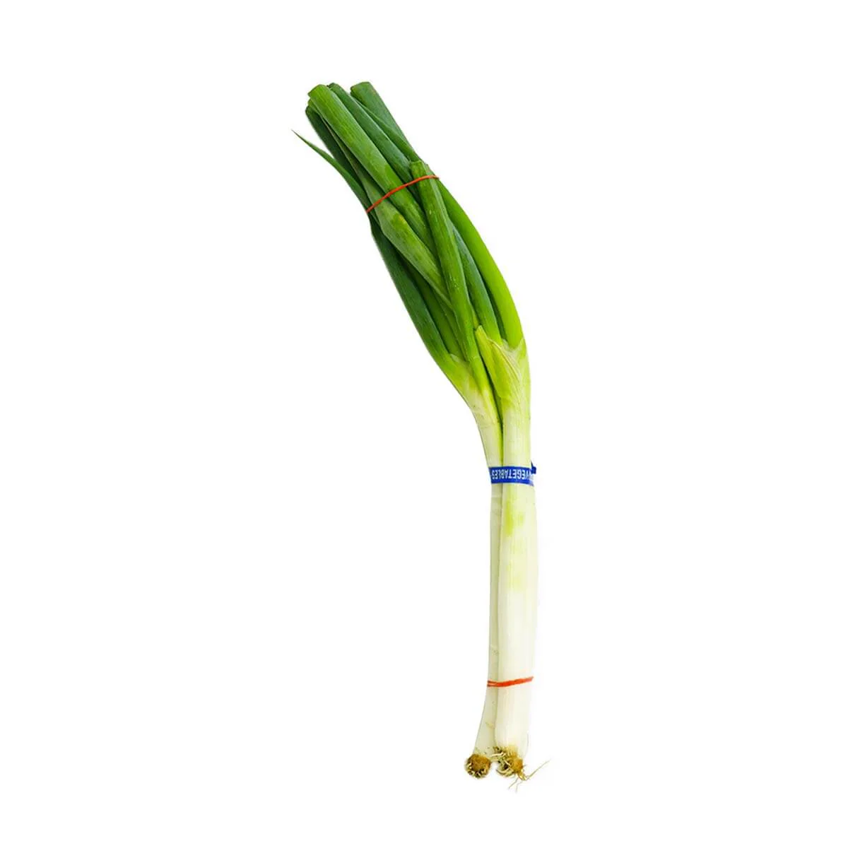 Korean Leek 1 Bunch