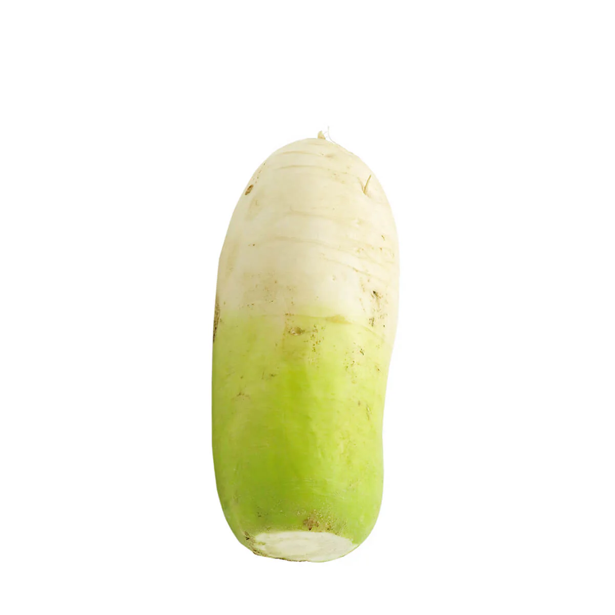 Korean Radish 2.5lb
