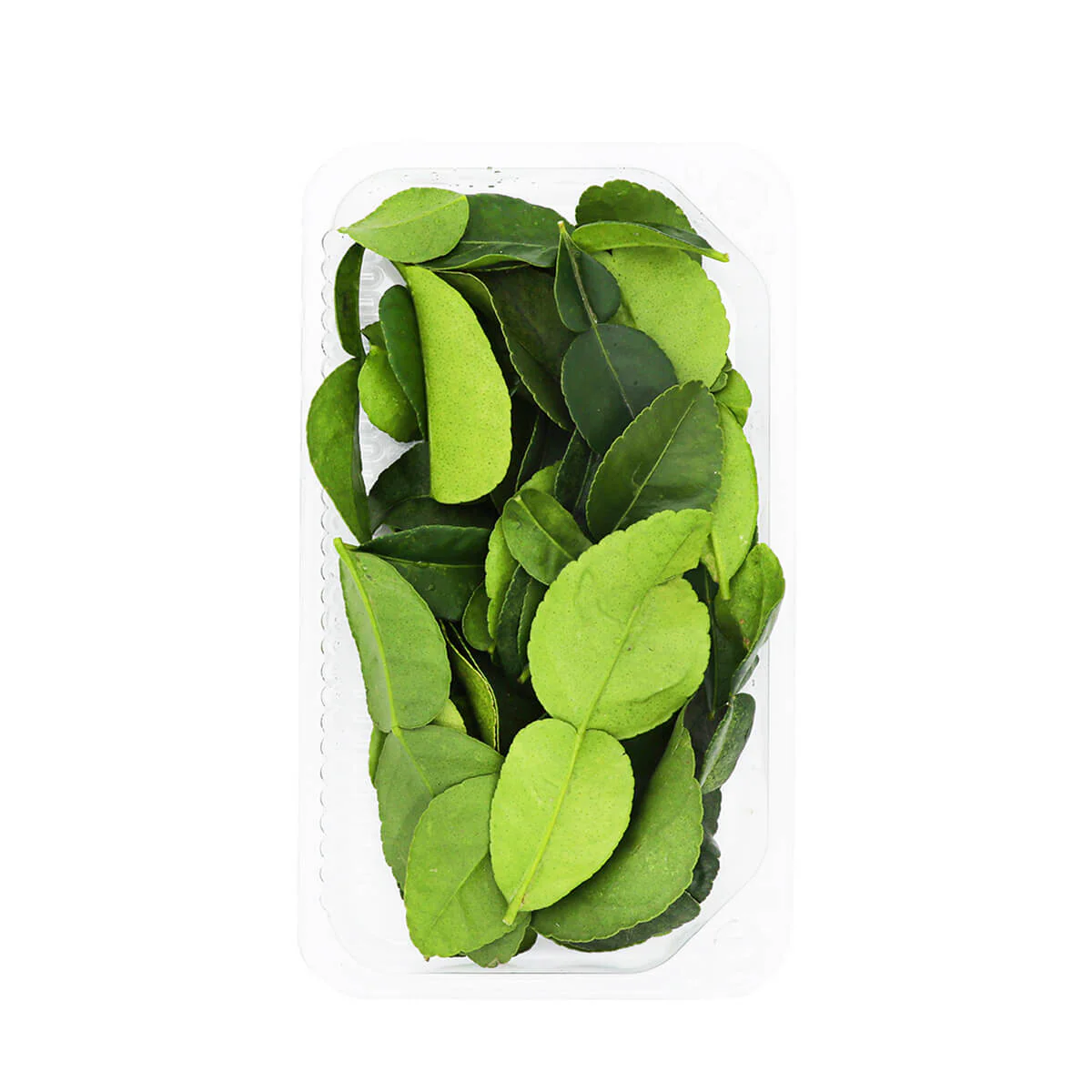Lime Leaves