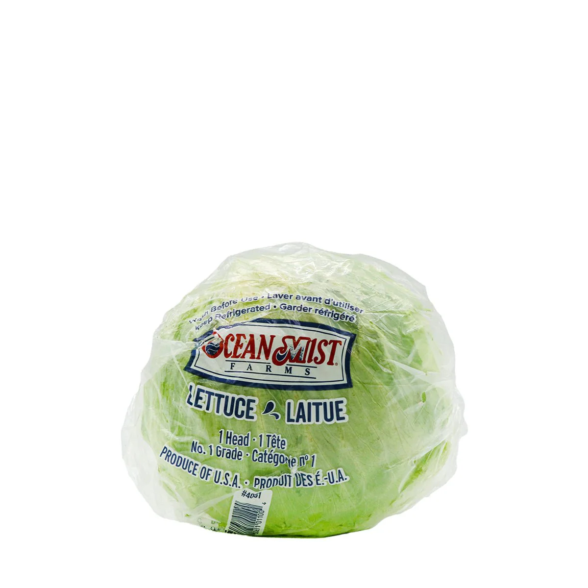 Ocean Mist Iceberg Lettuce