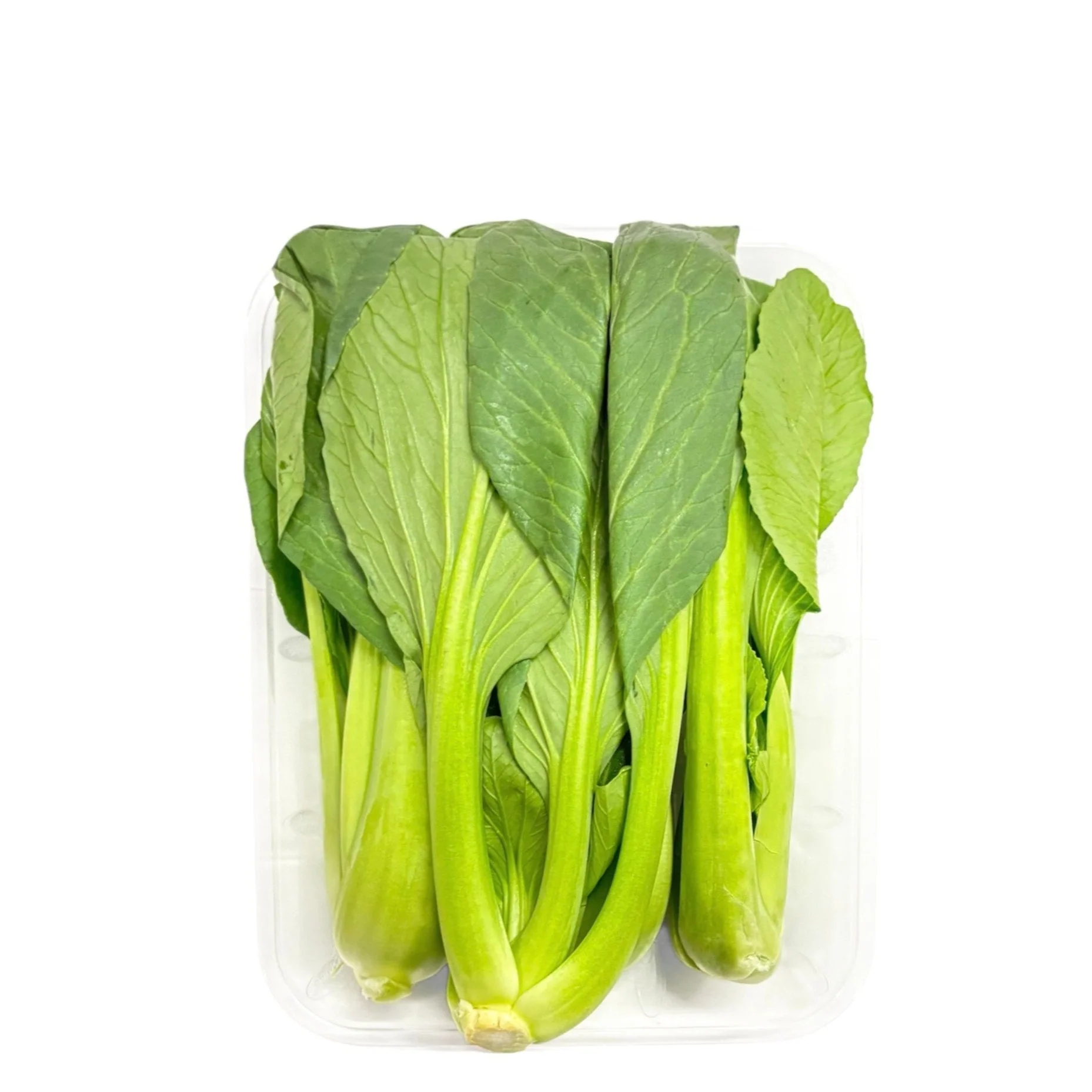 Organic Shanghai Bok Choy Tip 0.72lb