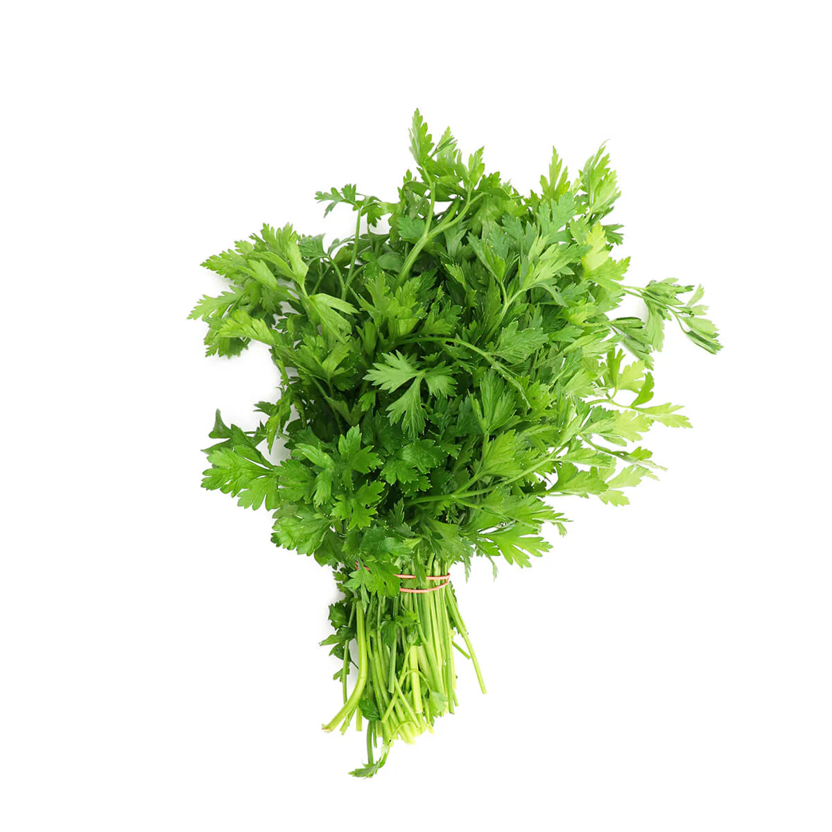 Plain Parsley 1 Bunch