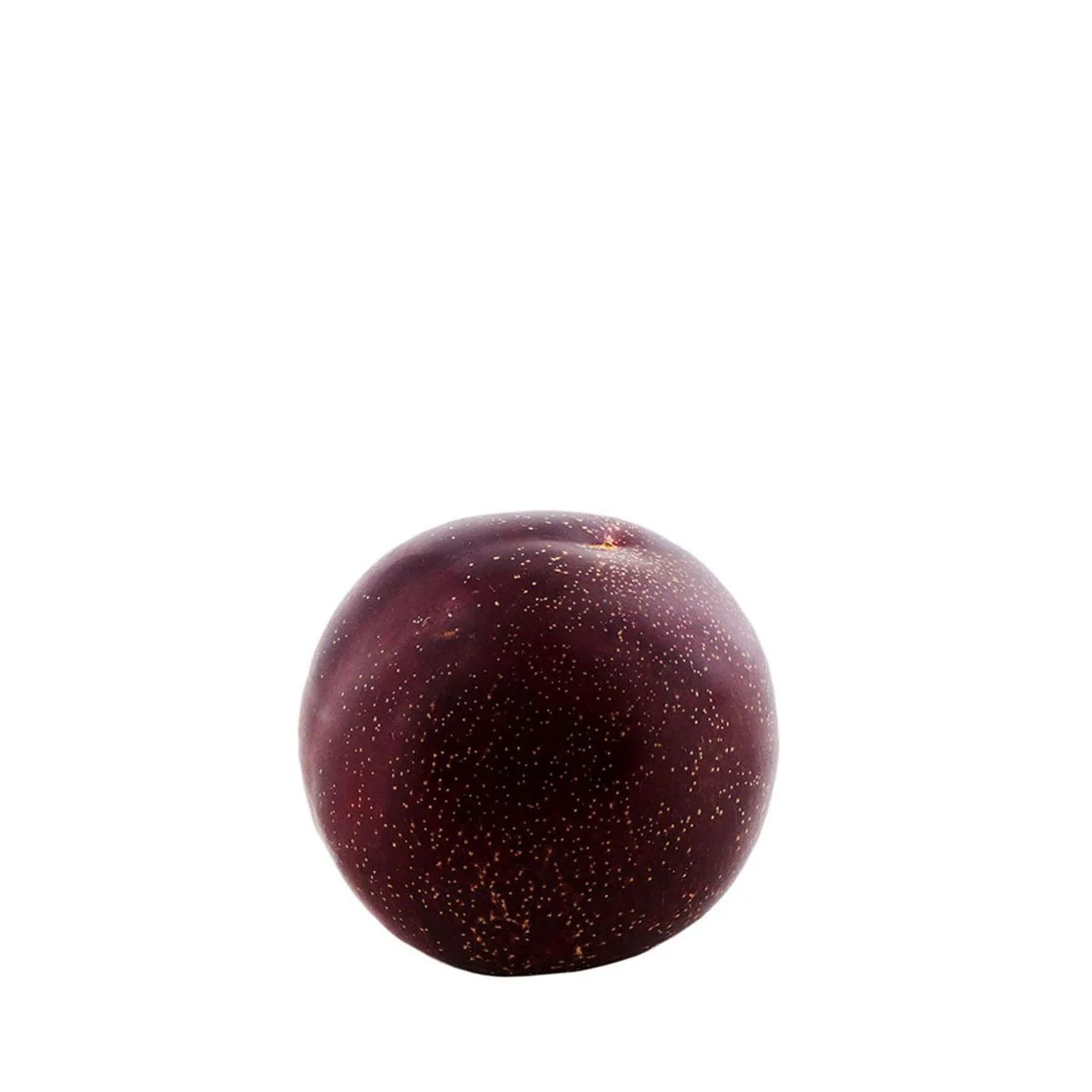 Red Plum 0.8lb