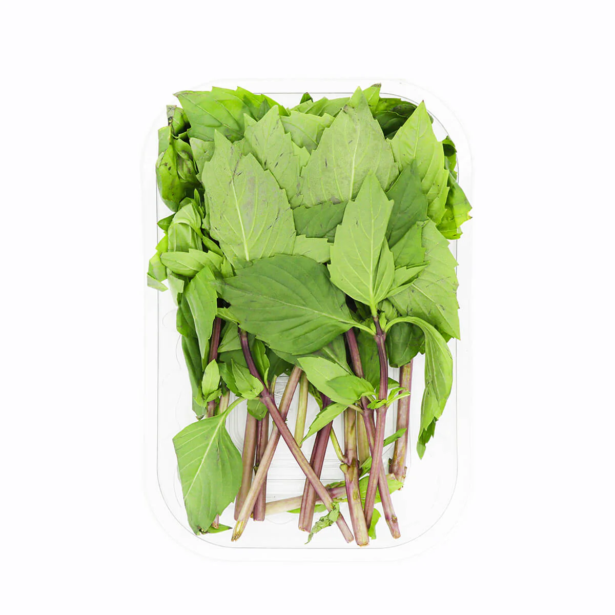 Thai Basil